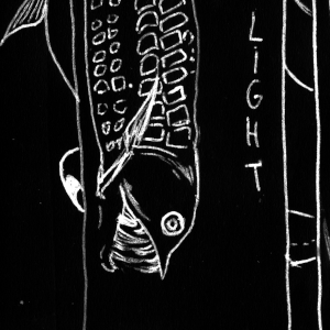 Coming from the darkness