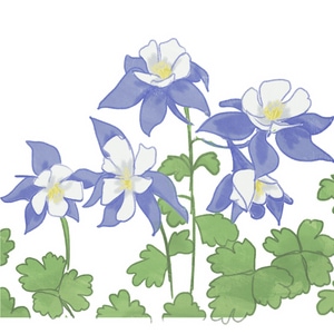 Chapter 9 - Columbine