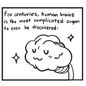 Human Brain