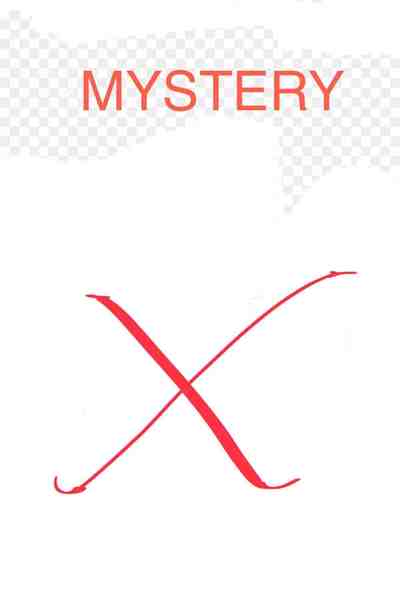 Mystery X