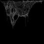 Cobwebs