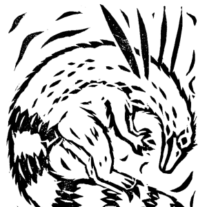 #1 - Ubirajara Jubatus