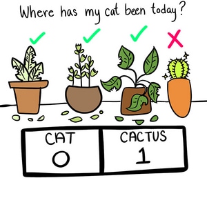 Plant vs Cat