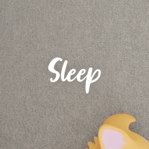 Sleep
