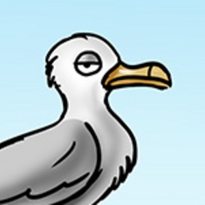 SEAGULL OBESITY PROBLEM