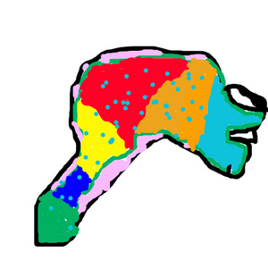 Spotted Rainbow Creature