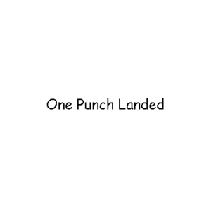 One Punch Landed