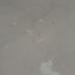 Chapter 6: Who Dares?!