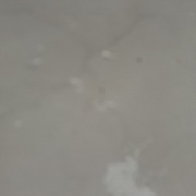 The Divine Chancellor? No, I Am the Supreme Paragon of Justice!