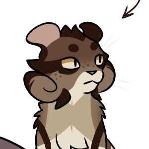 Meet the Artist: Cycle Special!