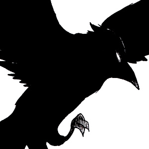 Großstadtraben - Big City Ravens