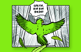 custom banner