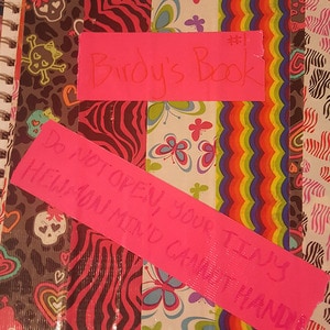 Creator Note #1 (Birdy)