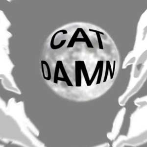Cat damn
