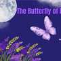 The Butterfly of Agra