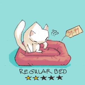 When Cat rate a perfect bed