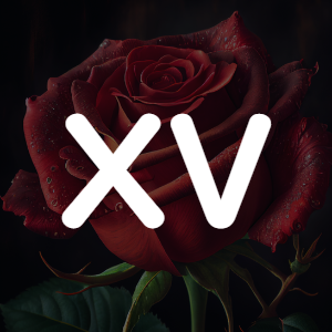 Letter XV