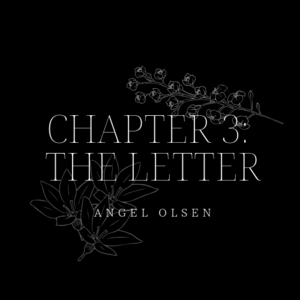 Chapter 3: The Letter