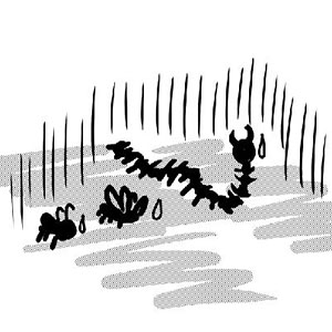 Yo solo fui un cap&iacute;tulo, pero t&uacute; fuiste mi libro entero