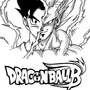 Dragon Ball Beast