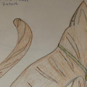 Missi and Molli - The Fish