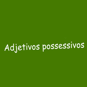 Adjetivos possessivos