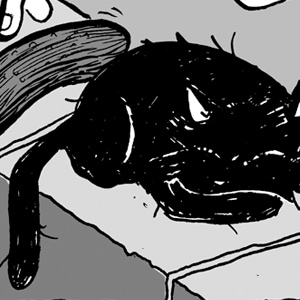 008 - The pickle challenge