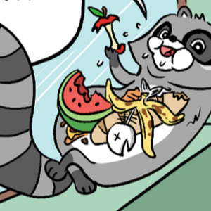 Raccoon Diplomacy