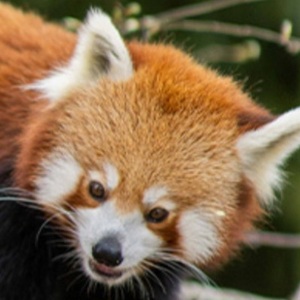 Miss&auml; s&auml; oot