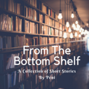 From the Bottom Shelf: A Collection of Short Stories