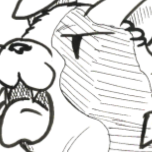 PAGE 2 CHAPTER: 2 SHARKS TO MINNOWS