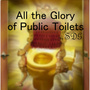 All the Glory of Public Toilets