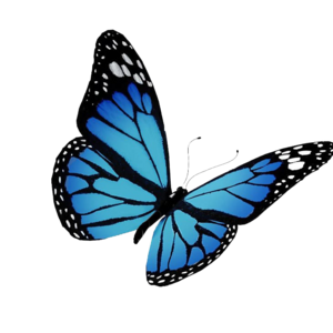 Rectifying End (Part One)