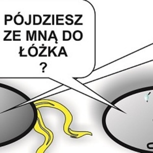 P&oacute;jdziesz..?