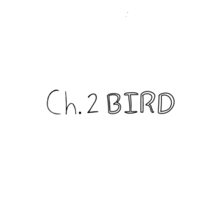 Chapter 2 Bird