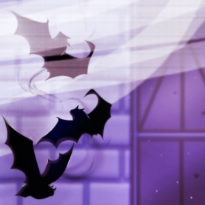 Happy Halloween!
