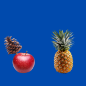 Lets Call Pineapple Spikefruit
