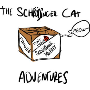 New Serie: The Adventures of the Schrödinger Cat