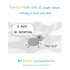 dream a little dream.