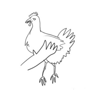 Operation Help Max Get Chickens