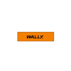 Meet Wally