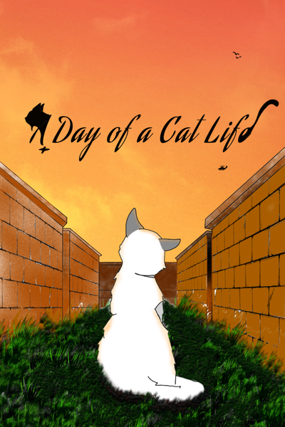 A Day of a Cat Life