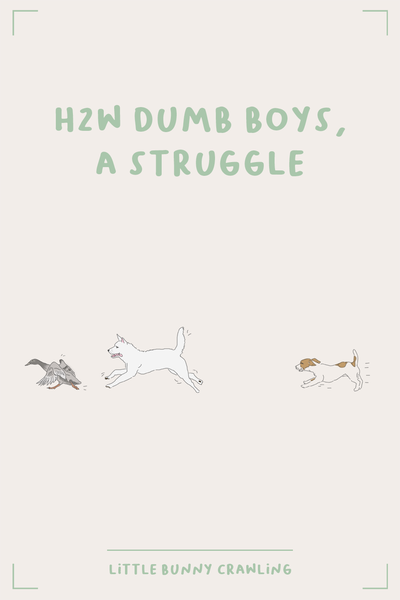 How to write dumb boys, a struggle