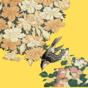 P3: Moss, and its Many Uses