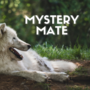 Mystery Mate