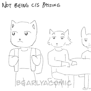 not being cis passing