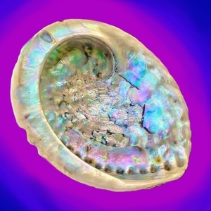 INTRODUCCIÓN: Seguir la corriente