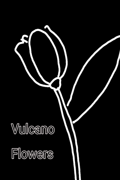Vulcano flowers 