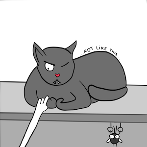 How to pet a street cat