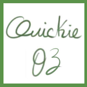 Quickie 03